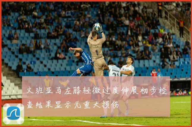 文班亚马左膝轻微过度伸展初步检查结果显示无重大损伤