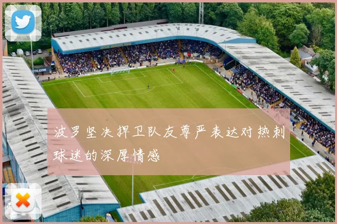 波罗坚决捍卫队友尊严表达对热刺球迷的深厚情感