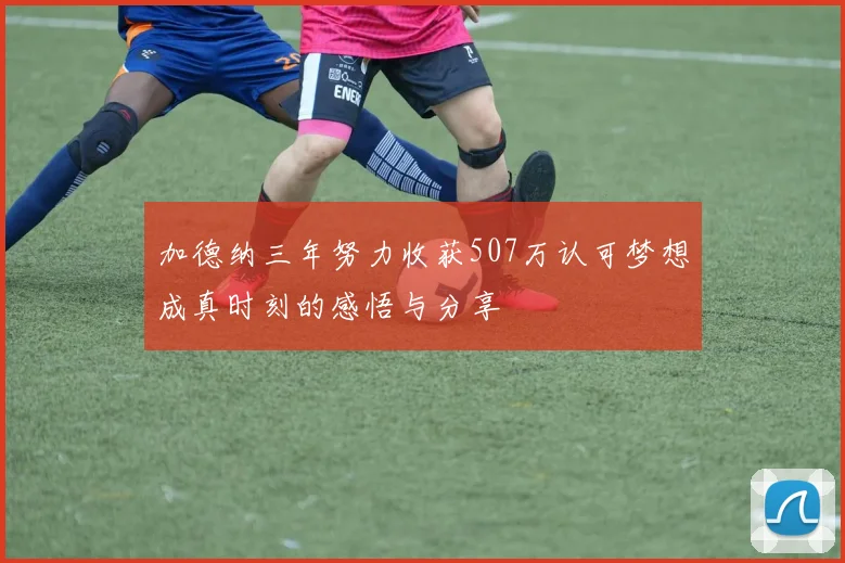 加德纳三年努力收获507万认可梦想成真时刻的感悟与分享