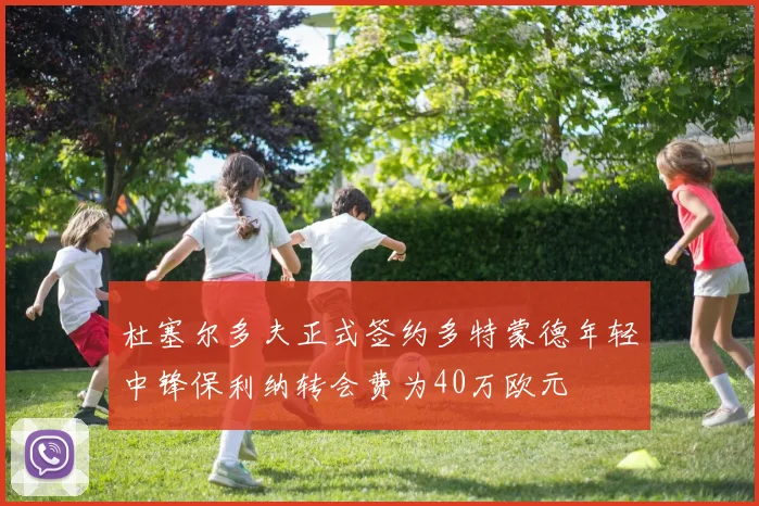 杜塞尔多夫正式签约多特蒙德年轻中锋保利纳转会费为40万欧元